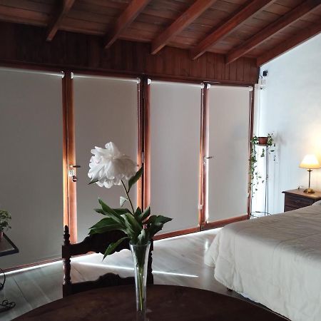 Cabana Monoambiente De Descanso Y Relax En Zona Barrio La Florida Pet Friendly Мар-дель-Плата Экстерьер фото